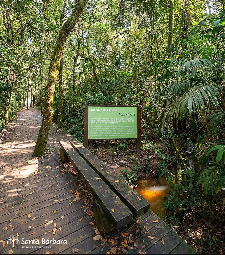 Trilha ecológica do Ribeirão do Guacho